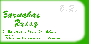 barnabas raisz business card